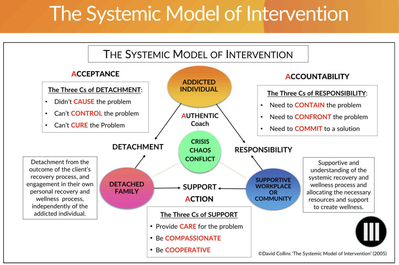 Systemic Model of Intervention