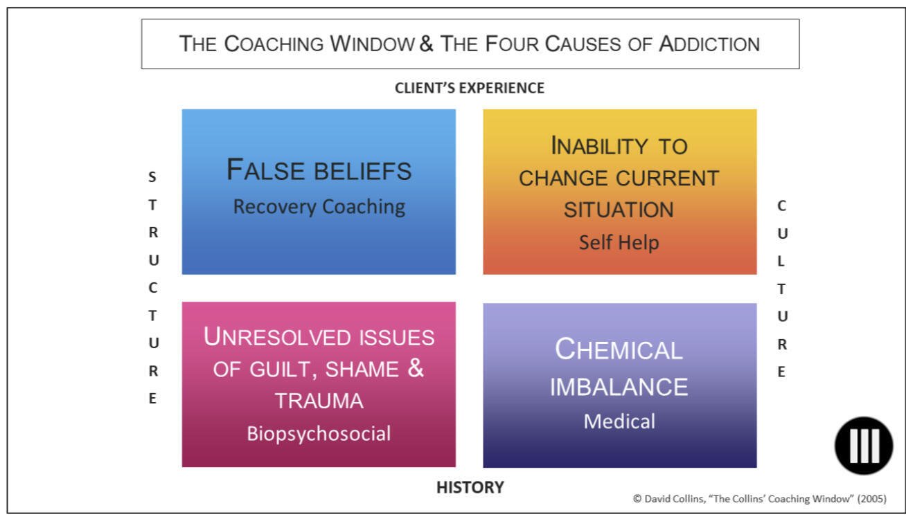 The four causes of addiction